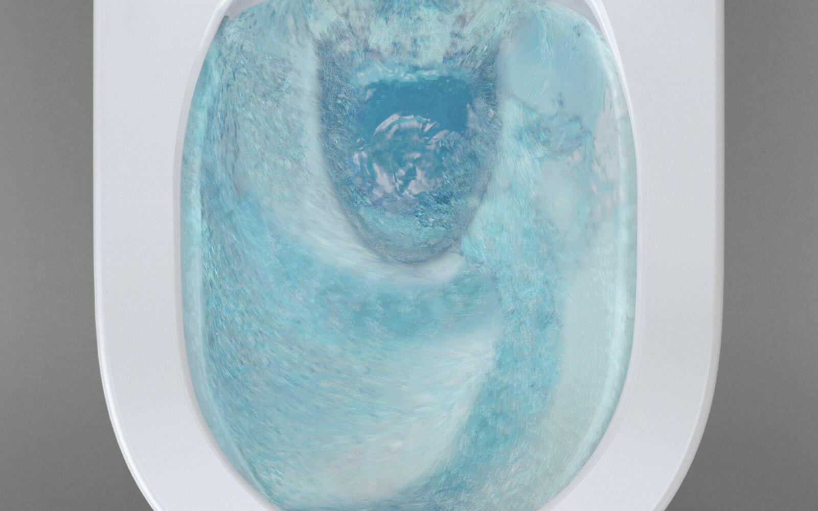 Spültechnologie HygieneFlush